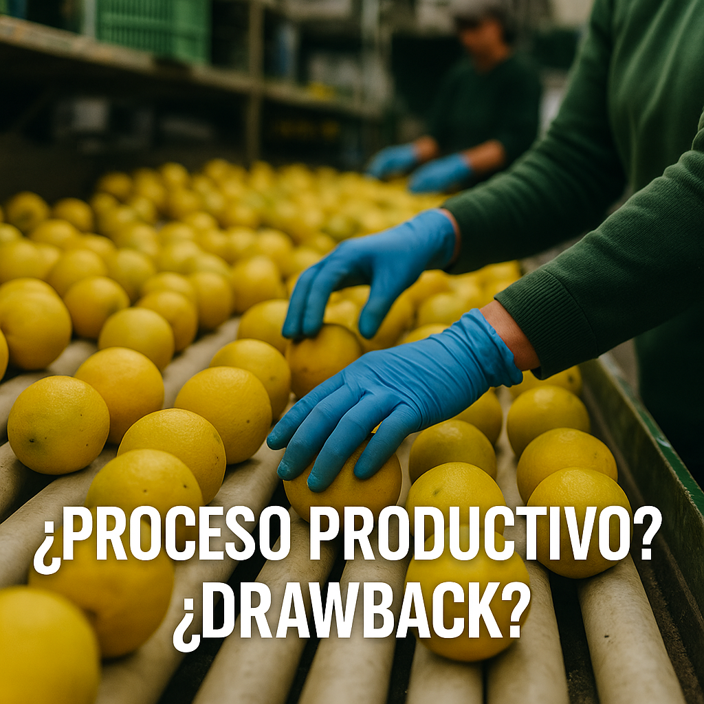 Drawback Proceso productivo Agroindustria
